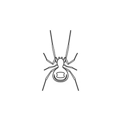 spider icon. Insect world elements icon. Premium quality graphic design icon. Simple line icon for websites, web design, mobile app, info graphics