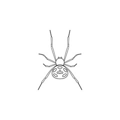spider jumper icon. Insect world elements icon. Premium quality graphic design icon. Simple line icon for websites, web design, mobile app, info graphics