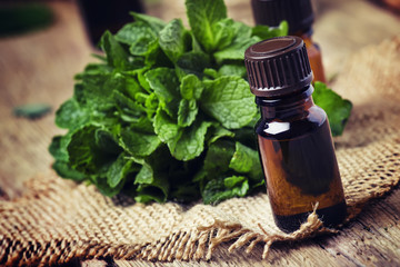 Essential oil of peppermint in a small brown bottle with fresh green mint, rustic style, vintage...