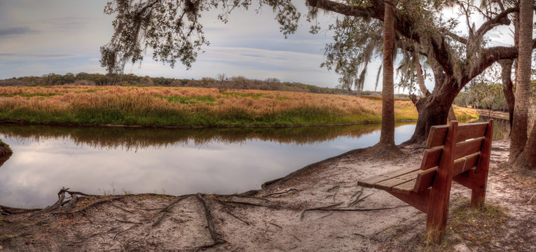 Wetland And Marsh At The Myakka River State Park