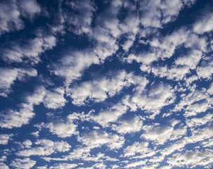 Clouds in the blue sky - can be used as a wallpaper, background, screen saver etc.