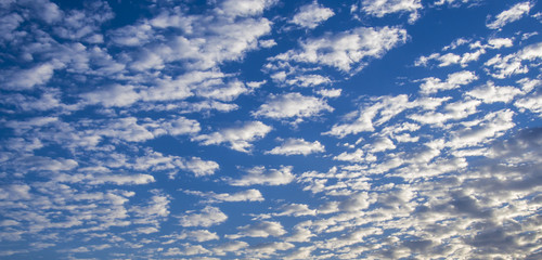 Naklejka na ściany i meble Clouds in the blue sky - can be used as a wallpaper, background, screen saver etc.