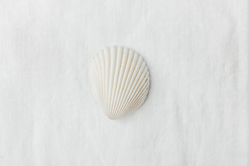 Single Flat Semi Circle Pure White Sea Shell on Linen Fabric Background. Minimalist Modern Styled Stock Photo for Social Media Blog Product Promotion.Template for Poster Placeholder Banner. Copy Space