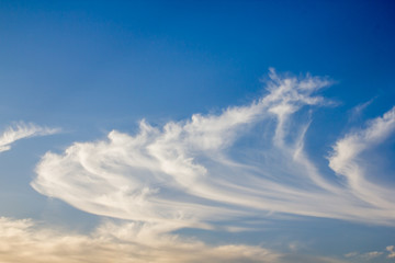 white cloud and blue sky background