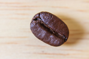 coffee bean