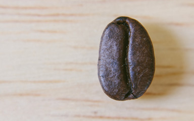 coffee bean