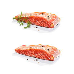 Salmon meat. Salmon steaks with dill isolated on white background. Vector illustration