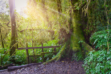 Ang Ka Luang Nature Trail