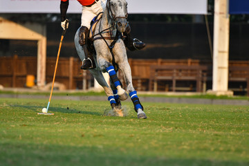Horse Polo Player Use a mallet