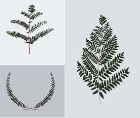 Leaf illustration object. vector eps10.