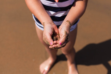 Sand Crab, Sand Crabs