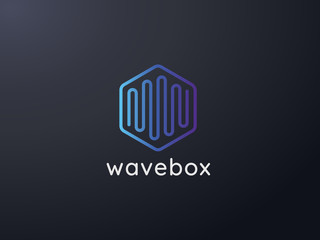 abstract hexagonal box cube with audio wave for business, apps, technology, or data logo icon. symbol template Vector illustration.