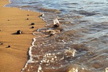 sea beach.