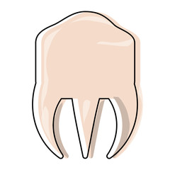 molar icon image