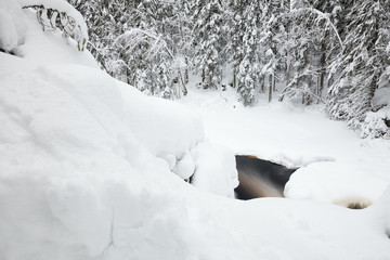 Partly frozen river running through a natural forest in sweden