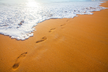 beach, wave and footprints at sunset time