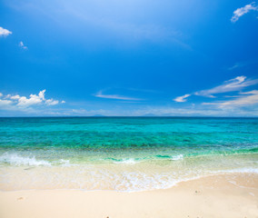 Fototapeta na wymiar beach and beautiful tropical sea