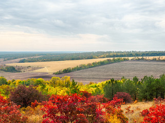 Colorful autumn landscape with views of the skyline and fields . Nature, rural view of pretty farmland and plants in the beautiful surroundings.
