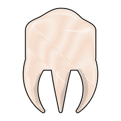 molar icon image