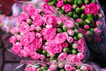 Pink Carnation on the Market