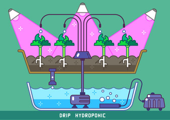 Plants growing under phytolamps with hydroponicss drip pipes and pump