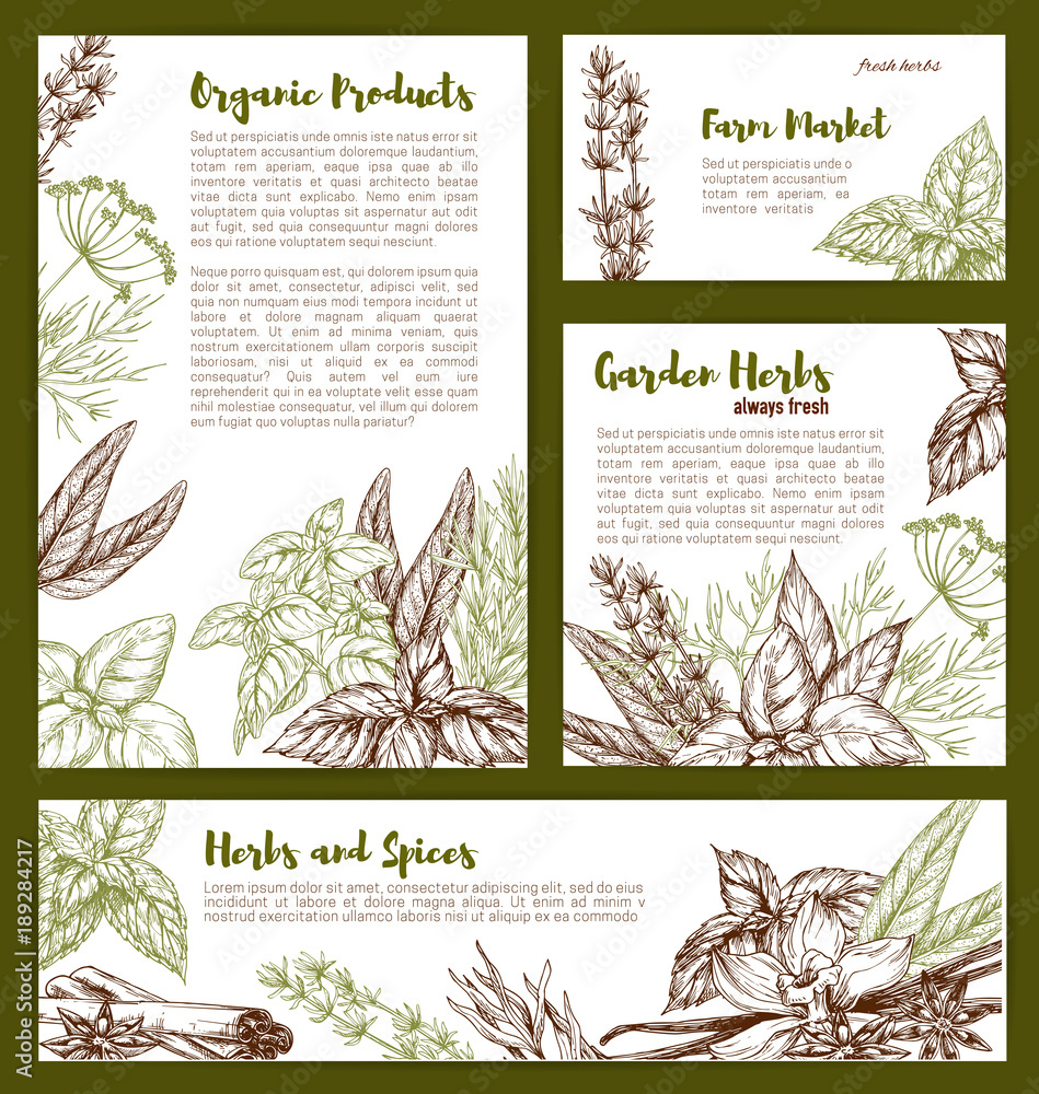 Wall mural Vector organic spices and herbs seasonings sketch