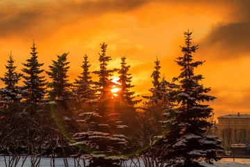 streets in St. Petersburg in the winter at dawn