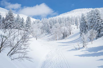 厳寒期の八甲田