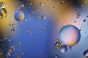 Oil bubbles in an aqueous medium on the border with a glass surface. Abstract Screen Saver.