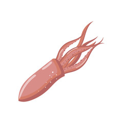 Squid, fresh seafood cartoon vector Illustration