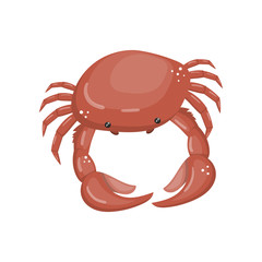 Crab, fresh seafood, shellfish cartoon vector Illustration
