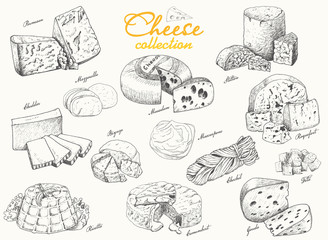 Obraz premium A collection of various cheeses