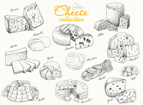 A collection of various cheeses
