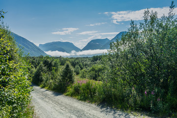 Fototapeta na wymiar Norway, Mountains near Narvik
