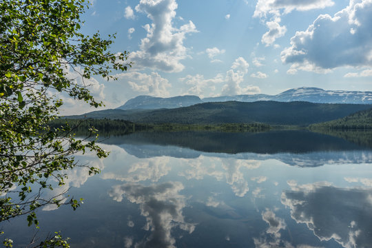 เลือกดูภาพถ่ายสต็อก เวกเตอร์ และวิดีโอ83 Adobe Stock