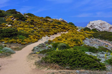 Italy Sardinia capo testa