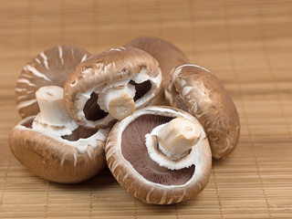 Zuchtchampignons, Kulturchampignons