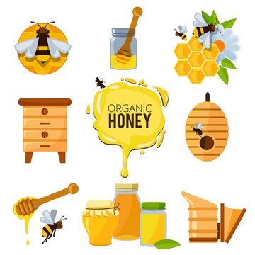 Colorful pictures of honey bumble and different others symbols of apiculture