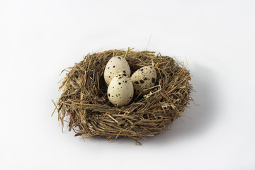 Naklejka na ściany i meble Quail eggs in a nest on a white background