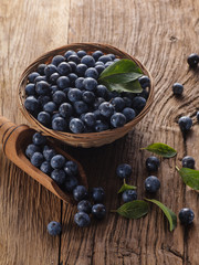 Sloes in bowl