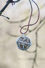 Hanged food tuna balls for birds.