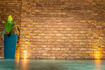 Brown brick wall with pot of plant and with golden lights.