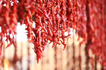 Red chilies