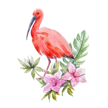 recommend clip art: Watercolor ibis bird composition