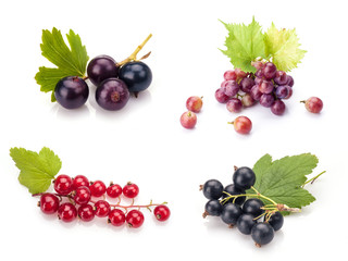 Collection of berries on white