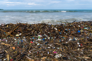 Pollution concept. The problem of trash on the beach caused by people