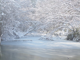 雪景色 大田切池