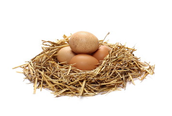 Eggs in straw nest isolated on white background