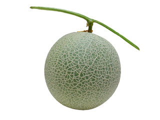 Closeup green Melon Isolated on White Background