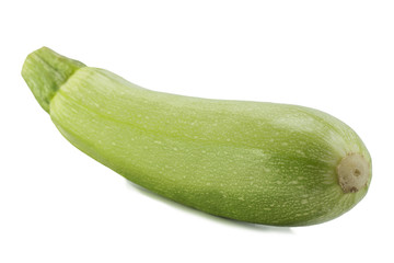 one large whole young zucchini
